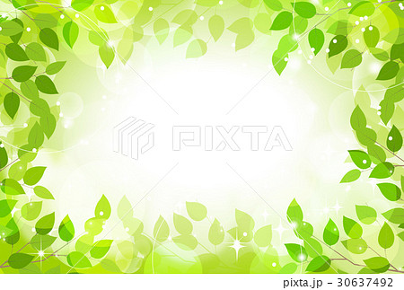 フレーム 新緑 若葉 枠のイラスト素材