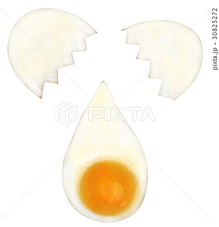 白バック 卵 生卵 手描きのイラスト素材