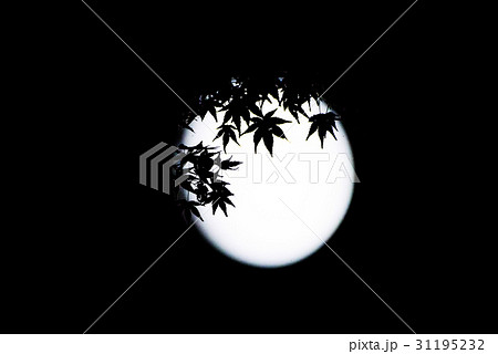 満月 切り絵 中秋の名月 十五夜 月見の写真素材