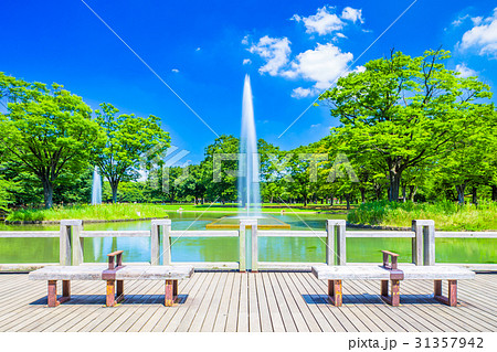 代々木公園 ベンチ 噴水 夏の写真素材