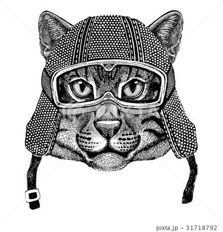猫 ねこ ネコ 釣りのイラスト素材