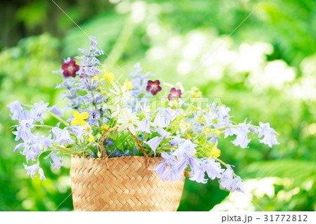 フラワーバスケット 花かご 女の子の写真素材