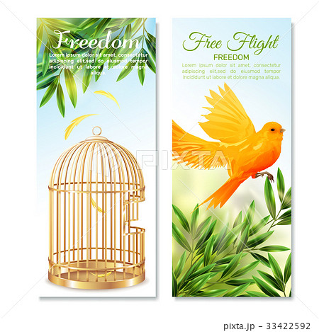 カナリアのイラスト素材