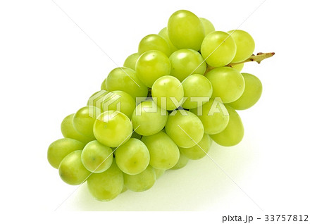 葡萄の写真素材