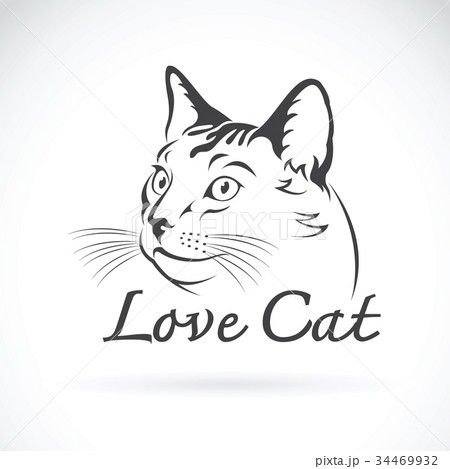 動物 虎 ステンシル 哺乳類 標識の写真素材