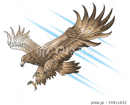 Eagle With Large Wings Attacking Vectorのイラスト素材 34811632 Pixta