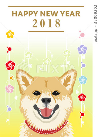 柴犬 犬 顔 正面のイラスト素材