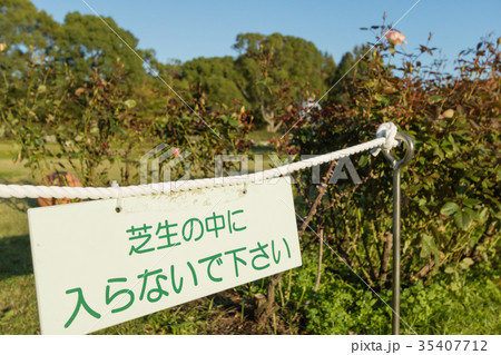 立入禁止 立ち入り禁止 立入り禁止 芝生の写真素材