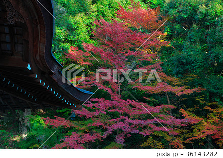 弘川寺の写真素材