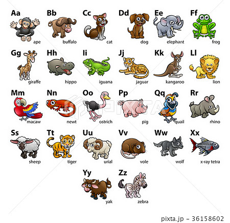 アルファベット 動物 組み合わせ 図表のイラスト素材