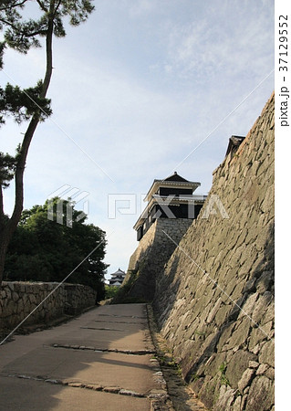 夕日 松山城 松山 松山市の写真素材 - PIXTA