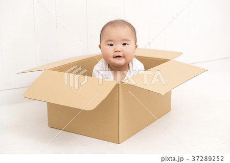 子供 赤ちゃん 箱 段ボール箱の写真素材