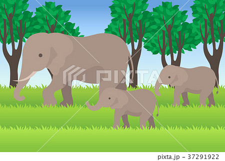象 動物 森 親子のイラスト素材