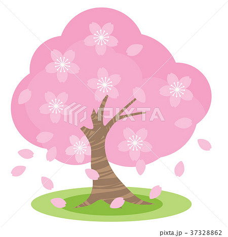 桜の木のイラスト素材集 Pixta ピクスタ