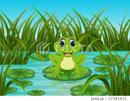 カエルの池様 カエルの池を見下ろします - 2015年のベクターアート素材や画像を多数