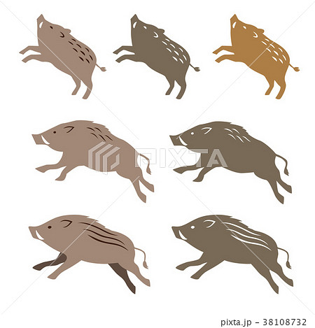 猪 いのしし 獣 干支のイラスト素材