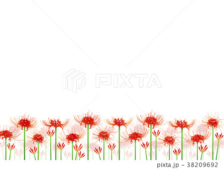 天界に咲く花の写真素材 - PIXTA