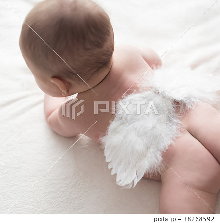 赤ちゃん 天使 天使の羽 後ろ姿の写真素材