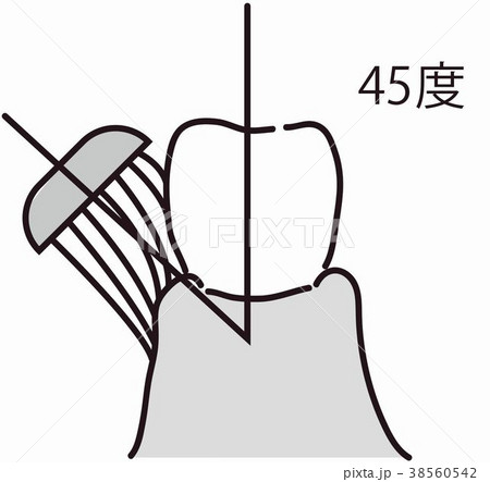 歯磨き介助のイラスト素材