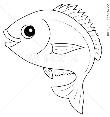鯛 塗り絵 魚類 キャラクターのイラスト素材 Pixta