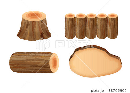 断面 丸太 木のイラスト素材