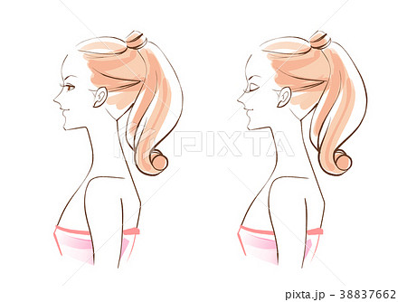 女性 美容 横顔 ポニーテールのイラスト素材