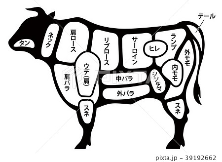 牛 牛肉 部位 図解のイラスト素材