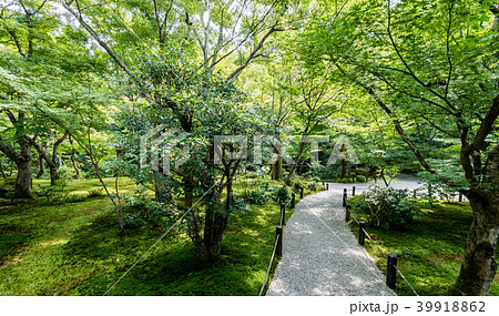 日本庭園 砂利 小路 和風の写真素材