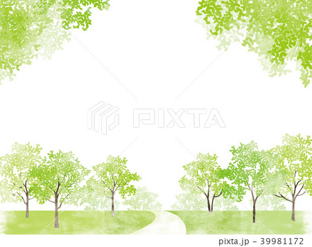 新緑 春 若葉 小道のイラスト素材