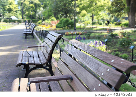 新緑 公園 日比谷公園 ベンチの写真素材