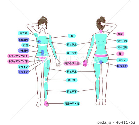 身体部位のイラスト素材