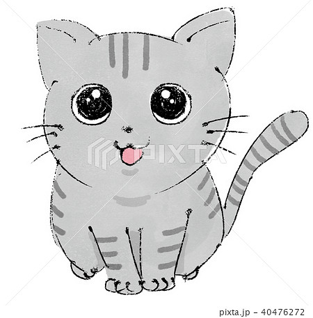猫 アメリカンショートヘア のイラスト素材