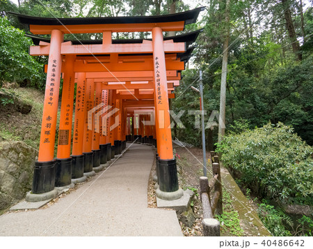 社寺 神社仏閣 和風 イラストの写真素材