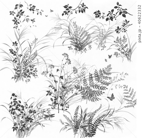 秋の野の花のイラスト素材