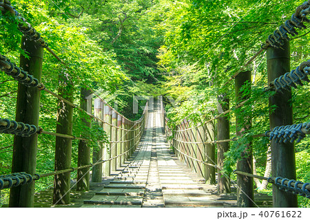 花園 花貫県立自然公園の写真素材