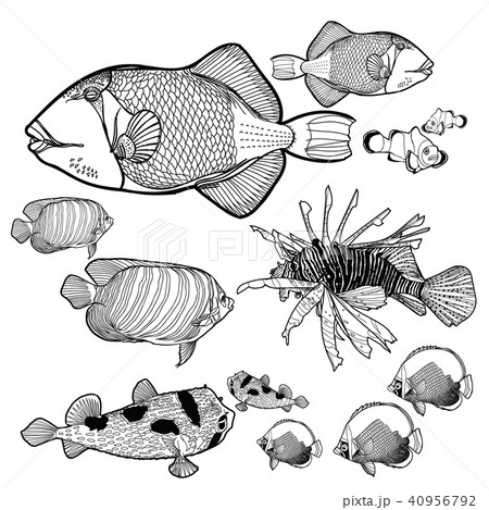 巨大魚のイラスト素材