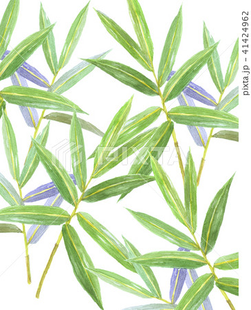 くまざさのイラスト素材 くまざさのイラスト素材