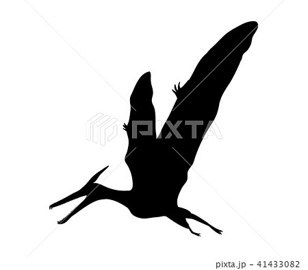 翼竜 プテラノドン シルエット 絶滅生物のイラスト素材