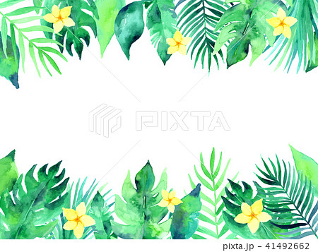ジャングルのイラスト素材集 Pixta ピクスタ