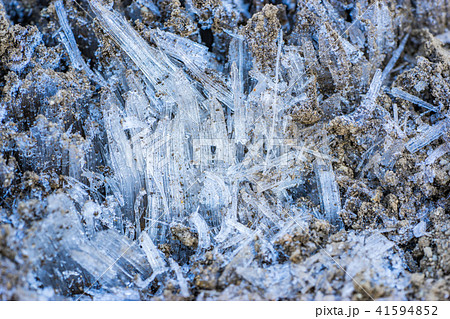 霜柱の写真素材