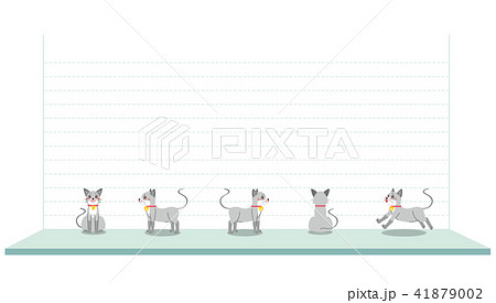 猫 動物 正面 走るのイラスト素材