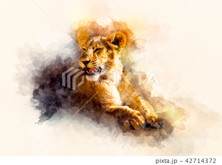 動物 ライオン 横顔 哺乳類のイラスト素材