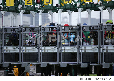 競馬 ゲート スタートゲート スタートの写真素材