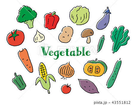 野菜 ペン画 手描き ベクターのイラスト素材