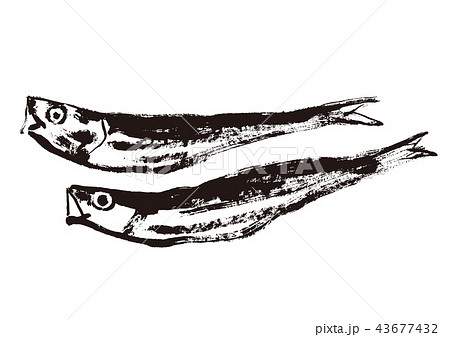 鰯のイラスト素材 Pixta