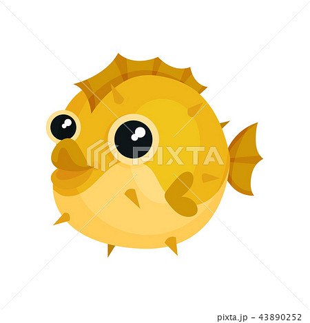 魚 フグ ハリセンボン 黄色の写真素材
