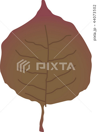 落ち葉 枯れ葉 秋 リアルのイラスト素材
