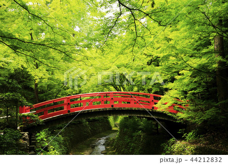 太鼓橋 観光名所 京都市 神社仏閣の写真素材