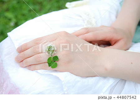 シロツメクサ 手 指輪 女性の写真素材 Pixta