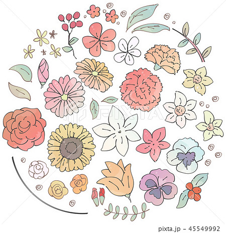 カラフル 花 パンジー 複数のイラスト素材